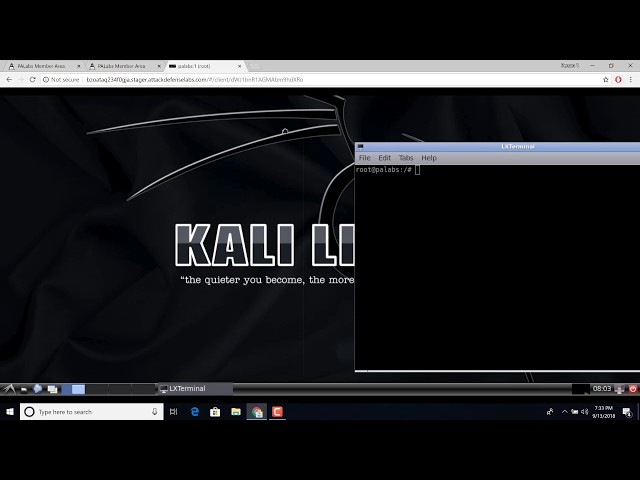 AttackDefense.com : Kali in a Browser