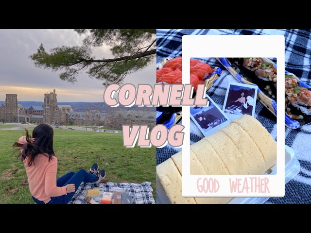 [ENG] Cornell vlog | Good weather | Ice cream/terrace restaurant/slope picnic | kellygraphy
