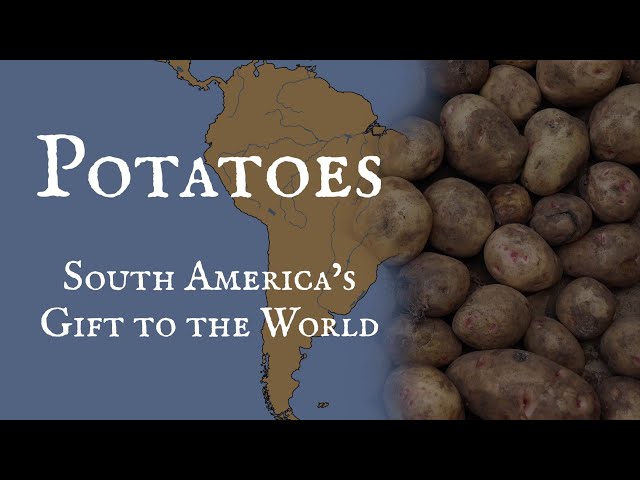 Potatoes: South America's Gift to the World
