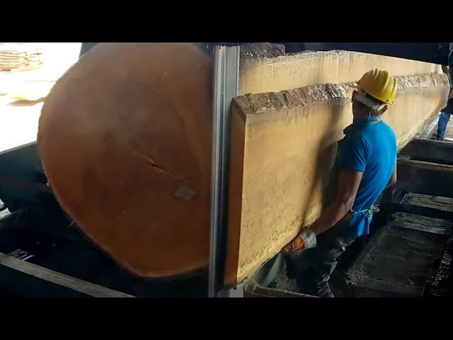 Amazing Fastest Large Wood Sawmill Machines Working - Extreme Fast Wood Cutting Machine