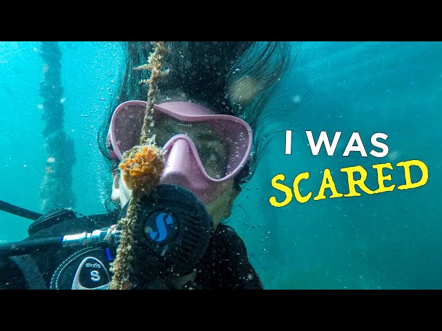 How I Turned My FEAR into LOVE for Scuba Diving