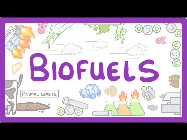 GCSE Physics - Biofuels  #12