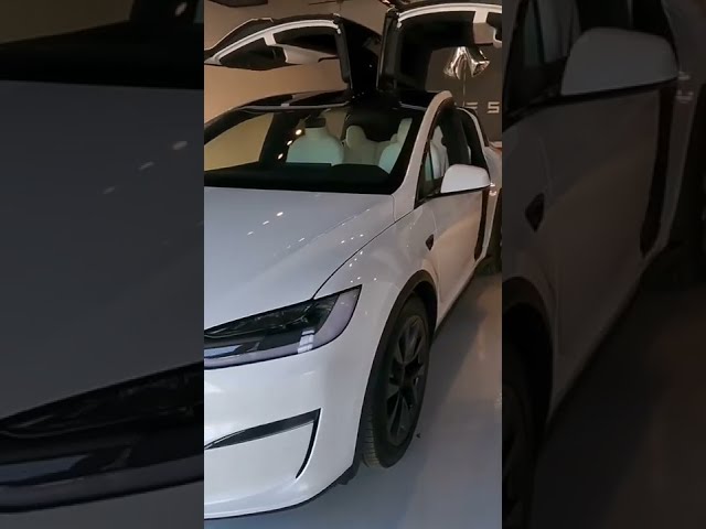 2022 Model X Delivery