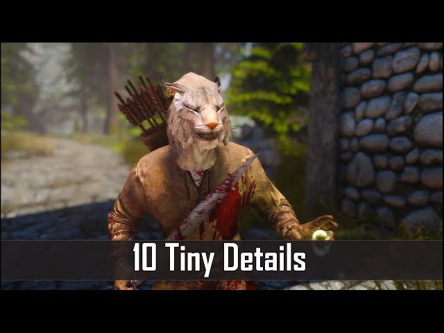Skyrim: Yet Another 10 Tiny Details That You May Still Have Missed in The Elder Scrolls 5 (Part 25)