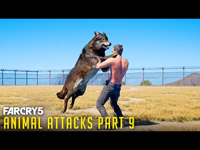 All Animal Attacks on Alpha Wolf (Animal Attacks Part 9) Animals VS Wolf Leader - FAR CRY 5