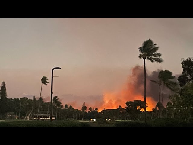 Maui Lahaina Wild Fire Escape