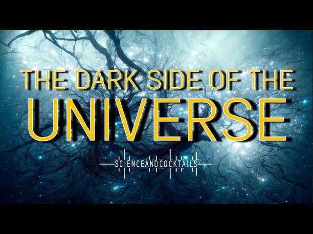 The Dark Side of the Universe with Laura Lopez Honorez