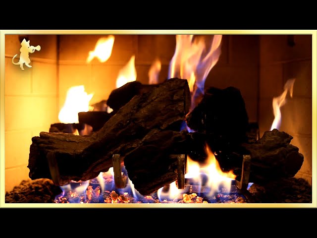 Warm Relaxing Fireplace Sounds - Burning Fireplace & Crackling Fire Sounds (NO MUSIC) 🔥