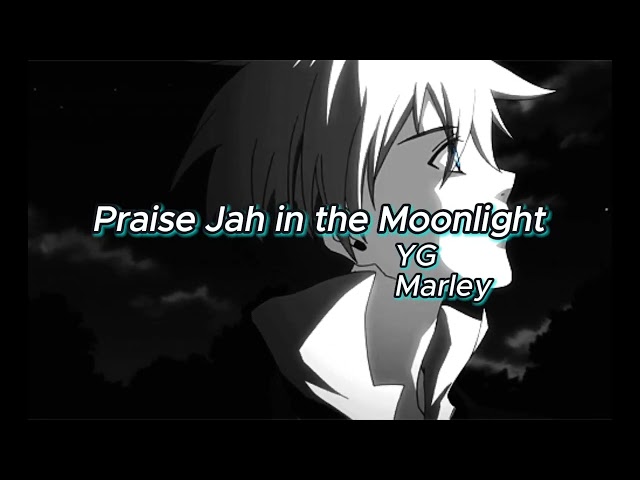 YG Marley - Praise Jah In The Moonlight