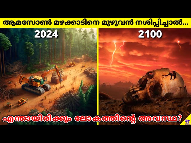 What Happens If Amazon Rainforest Is Completely Destroyed? | Facts Malayalam | 47 ARENA