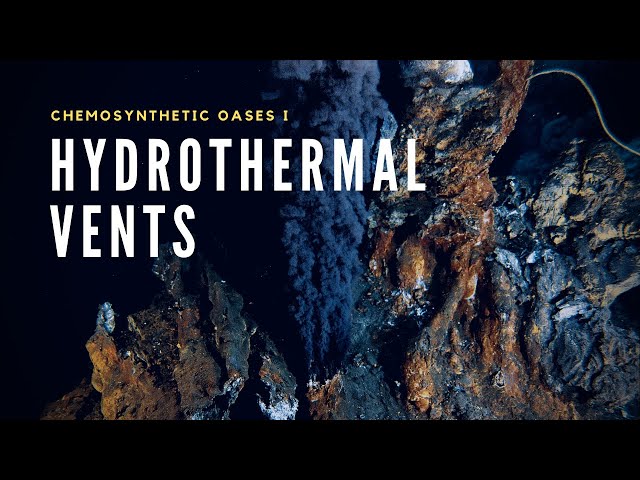 Hydrothermal Vents | Oases in the Deep Sea