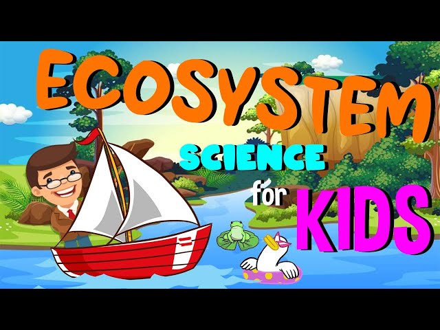What are Ecosystems | Science for Kids