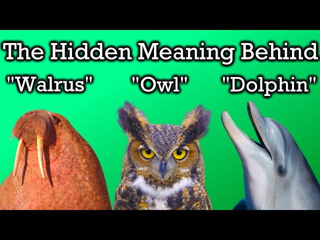 What The Names of Animals Mean