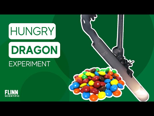 M&Ms in a Hungry Dragon [Potassium Chlorate] | Experiment Walkthrough