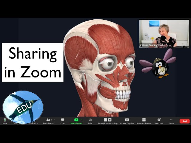 Share All the Things in Zoom