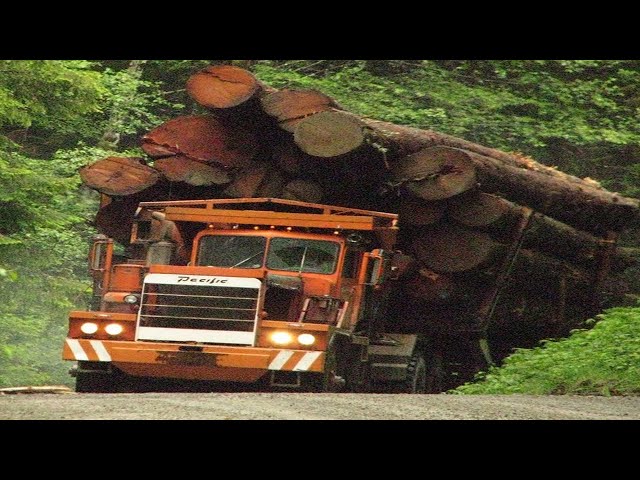 Extremely Dangerous Fastest Logging Wood Truck Operator Fails | Heavy Equipment Driving At The Work.