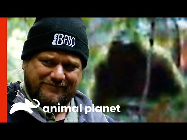 Ranae & Matt Have Trouble Believing This Sasquatch Sighting | Finding Bigfoot