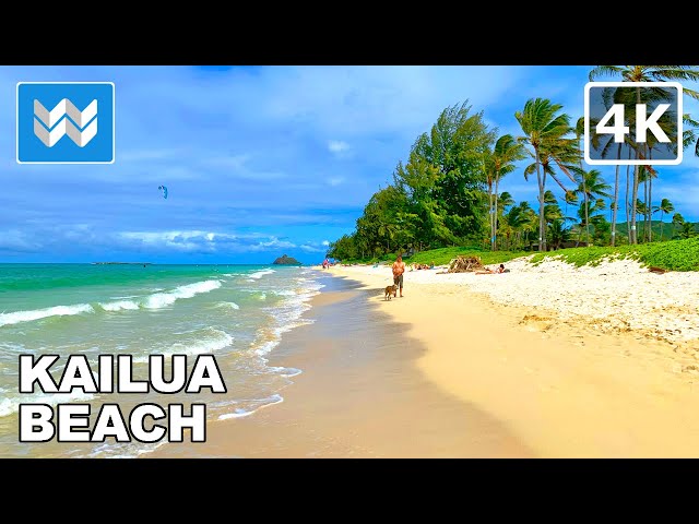 [4K] Kailua Beach in Oahu Hawaii USA - Walking Tour & Travel Guide 🎧 Relaxing Beach Waves Sound