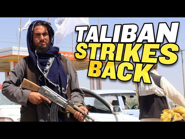 Afghanistan Falls to the Taliban: Whose Fault Is It?