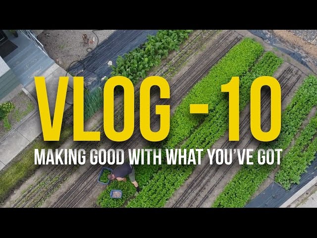 VLOG - 10 - Making Good With What You've Got