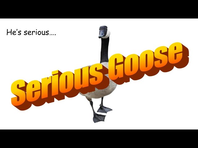 Serious Goose (Emotional)