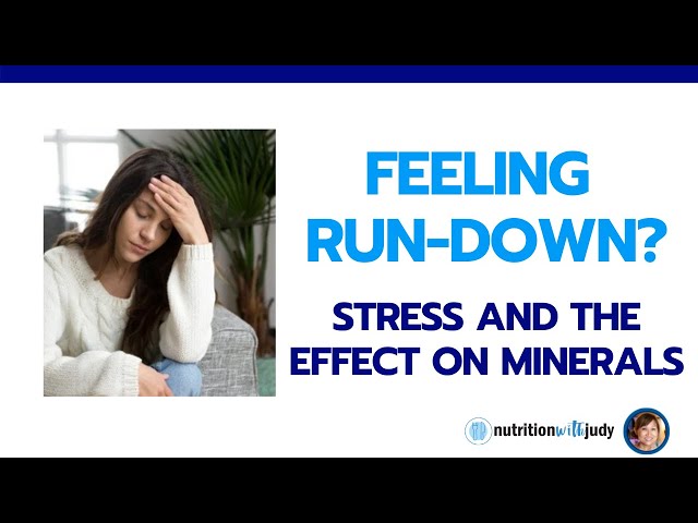 Stress and the Effects on Our Minerals - HTMA Case Studies and Balancing Your Minerals - Part 2