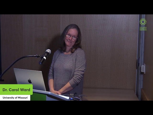 Science Seminar Series: The Shape of Human Evolution - Dr. Carol Ward