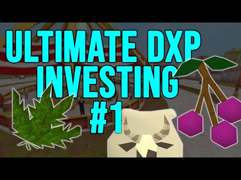 Ultimate DXP Investing Guide