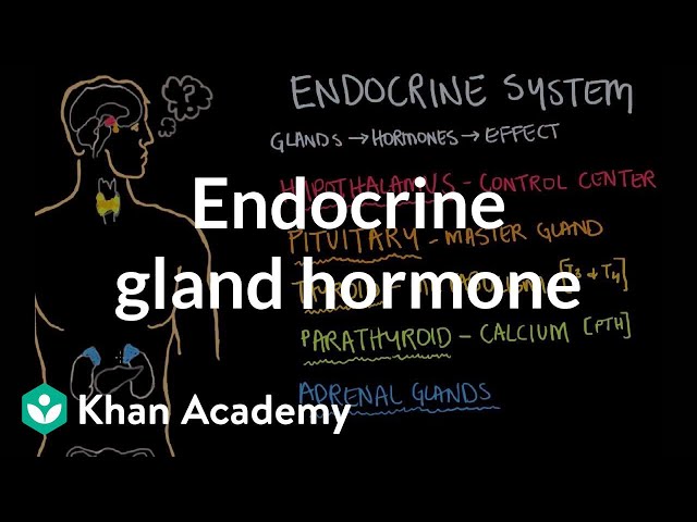 Endocrine gland hormone review | Endocrine system physiology | NCLEX-RN | Khan Academy