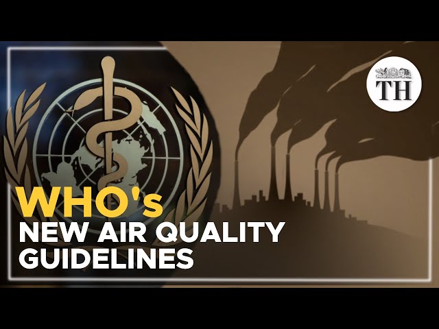 What are WHO's new air quality guidelines?