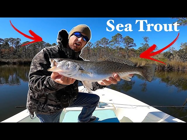 My FAVORITE Way to Catch SPECKLED TROUT (SPOTTED SEA TROUT)