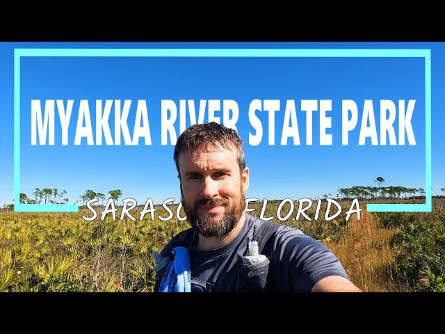 Hiking 20 Miles at Myakka River State Park with WILD BOAR