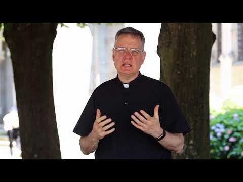 Pilgrimage through France with Mary by Fr. Joseph Roesch, MIC