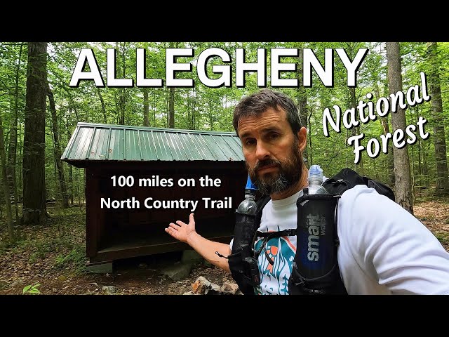 100 Miles on the North Country Trail in Allegheny National Forest