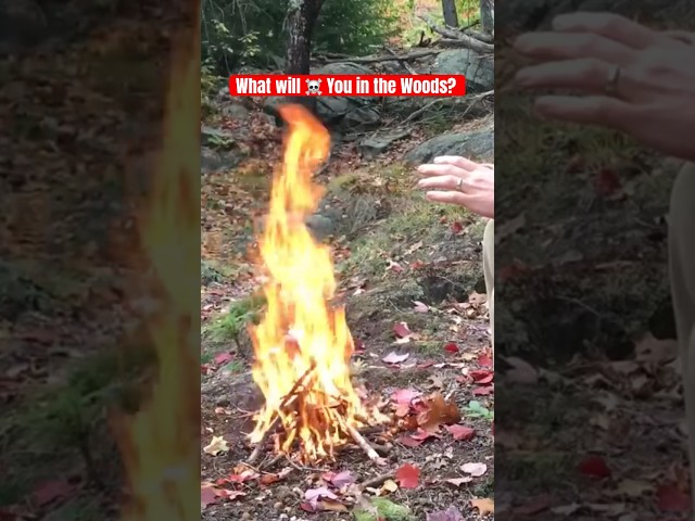What Will KILL You In The Woods? #survival #survivalskills #stayalive
