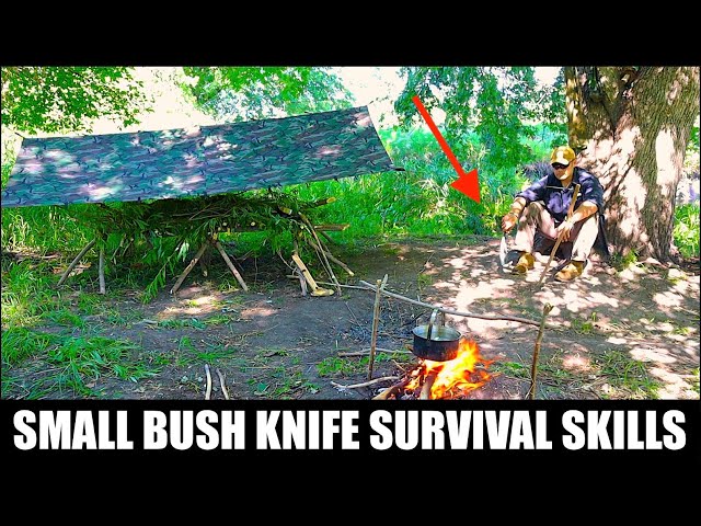 Small Bush Knife Wilderness Survival Skills! How to do Basic Survival with a Medium Knife!