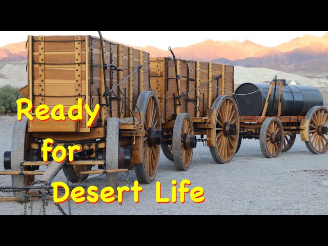 Adjusted for the Desert Life - In the Mojave | Engels Coach Shop
