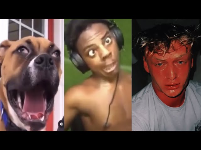 TRY NOT TO LAUGH 😂 Best Funny Videos 😆 Memes PART 8