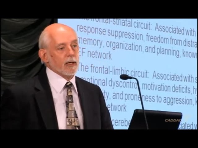 The Neuroanatomy of ADHD and thus how to treat ADHD - CADDAC - Dr Russel Barkley part 2b