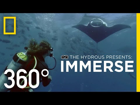 Journey into the Deep Sea - VR | National Geographic