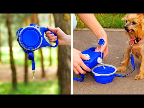 BEST PET GADGETS AND HACKS EVERY PET OWNER SHOULD KNOW