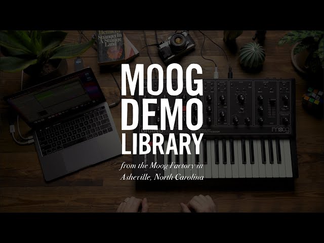 Moog Model 15 iOS App | Automation inside Ableton Live
