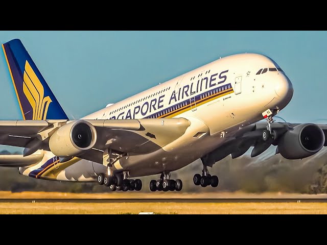20 MINUTES of GREAT Melbourne Airport Plane Spotting | Summer Afternoon Rush | A380 A350 B787 B777