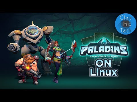 Paladins on Linux | Configuration and Gameplay
