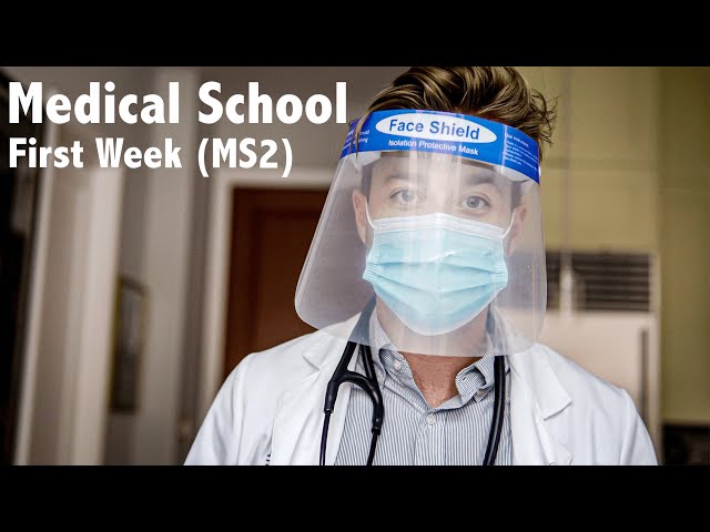 First Week of Medical School (of Second Year)