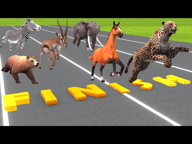 Animals Running Race Horse Race Videos For Kids | Animals Names And Sounds | Toys For Children