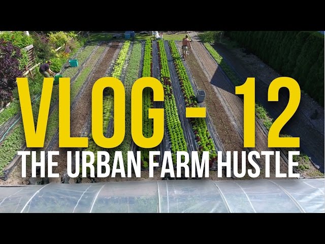 VLOG - 12 - The Urban Farm Hustle