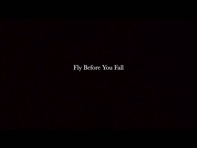 Fly Before You Fall - Cynthia Erivo [cover by kat]