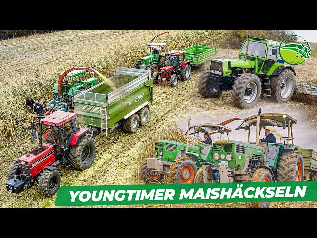 Youngtimer Tractors with great Motorsound chopping maize