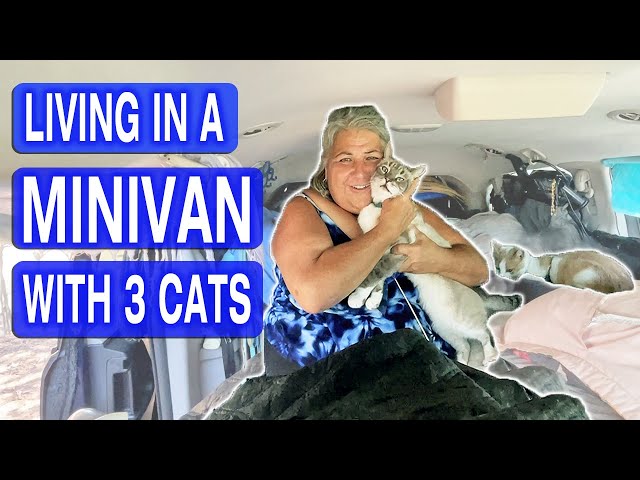 VAN TOUR | Senior Woman Forced into a Minivan with Three Cats After Mold Infested Her Home!